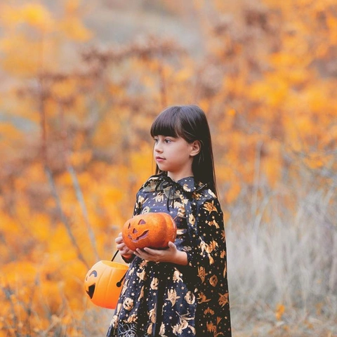 Pochette pour The Mistletoe Caper