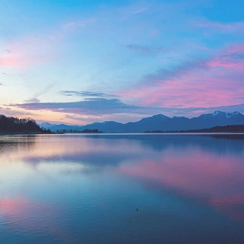 Portada para Vows beneath the Old Oak