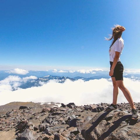 Pochette pour Next Levels