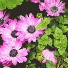 Run with the City Lights