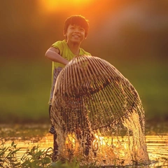 The Road Less Traveled