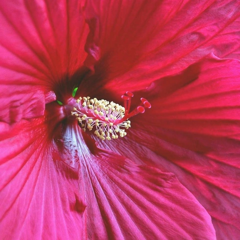 Pochette pour Best Day of the City