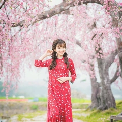 Lovely Flamenco Street