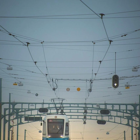 Portada para Digital Heartbeat in the Neon